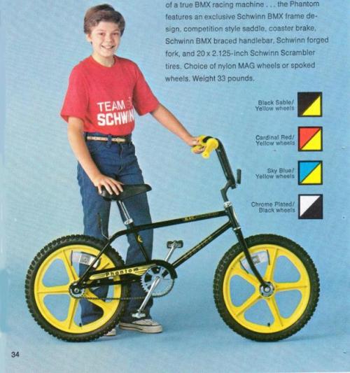 Schwinn 1980-6